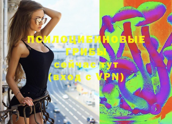 прущие грибы Покровск