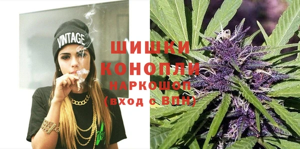прущие грибы Покровск