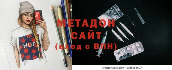 прущие грибы Покровск