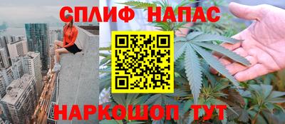 сатива Балаково