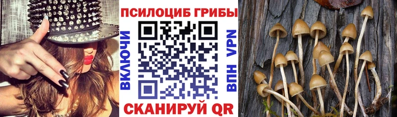 Галлюциногенные грибы ЛСД  Балахна 