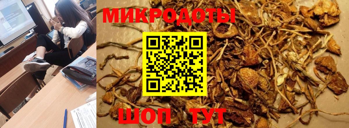 Псилоцибиновые грибы мицелий  Галлюциногенные грибы GOLDEN TEACHER  Балахна 