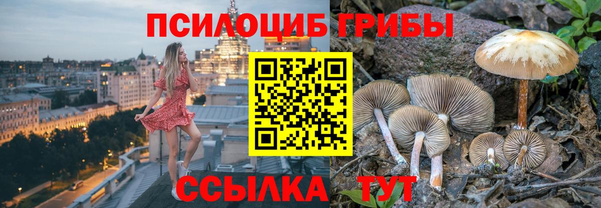 Балахна  где найти наркотики  Вход с VPN  Псилоцибиновые грибы Magic Shrooms  Псилоцибиновые грибы мицелий 
