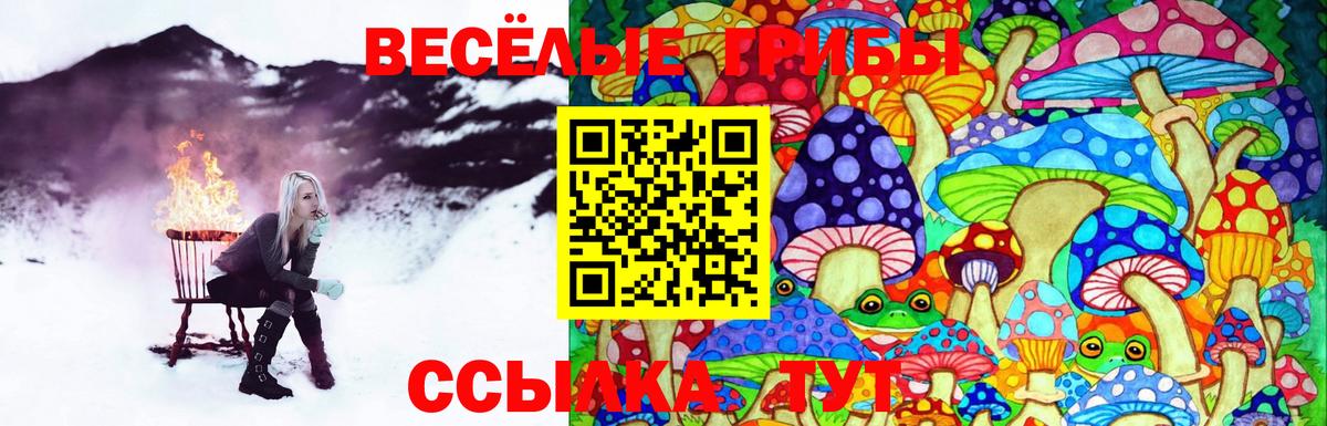 Псилоцибиновые грибы мухоморы Балахна